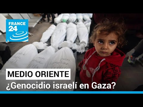 ¿Está cometiendo Israel un genocidio contra la población palestina en Gaza? • FRANCE 24