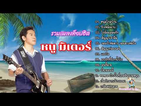 รวมเพลงฮิตหนูมิเตอร์คัดสรร