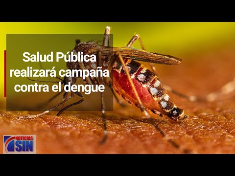 Salud Pública realizará campaña contra el dengue