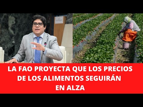 LA FAO PROYECTA QUE LOS PRECIOS DE LOS ALIMENTOS SEGUIRÁN EN ALZA