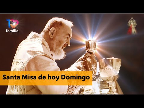 MISA DOMINGO 29 DICIEMBRE 2024 PADRE FRANKLIN MANRIQUE DISPONIBLE  https://tvfamilia.com/santa-misa/