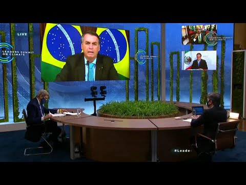 Ministro de Bolsonaro investigado por exportación ilegal de madera