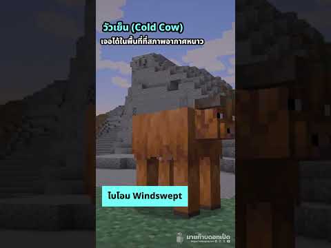 truefaster วัวประเภทใหม่ในMinecraft!Minecraft1.21.5