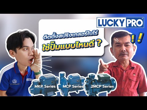 ติดตั้งสปริงเกลอร์ในไร่ใช้ปั๊