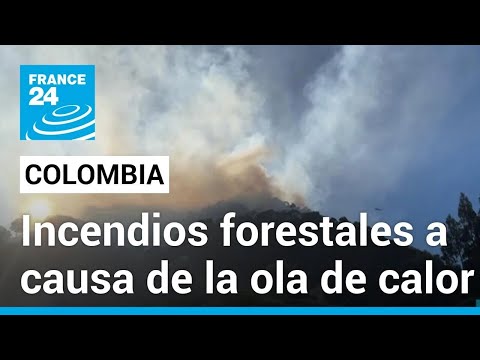 Ola de calor en Colombia acaba con hectáreas de bosque a causa de los incendios forestales