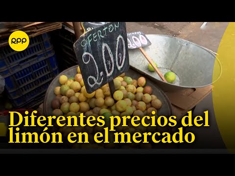 La Parada: Precio del limón sigue elevado