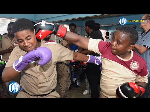 ‘Boxing can help curb violence in schools’ - Dr Lola Cunningham