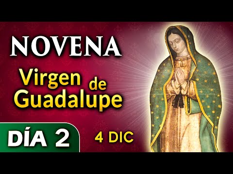 NOVENA Virgen de Guadalupe - DÍA 2 - Heraldos del Evangelio El Salvador