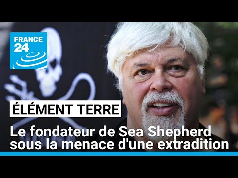 Le fondateur de l'ONG Sea Shepherd sous la menace d'une extradition vers le Japon • FRANCE 24