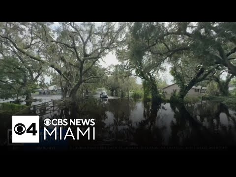 Biden visits Tampa to provide Milton relief updates as St. Petersburg struggles with recovery