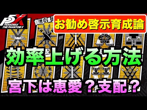 【ペルソナ5X】お勧め啓示育成解説！無駄なくチーム全体の啓示を集め最終的な厳選へ！#ペルソナ5 #persona5 #p5 #p5X #p5XJP【ペルソナ5 The Phantom X】