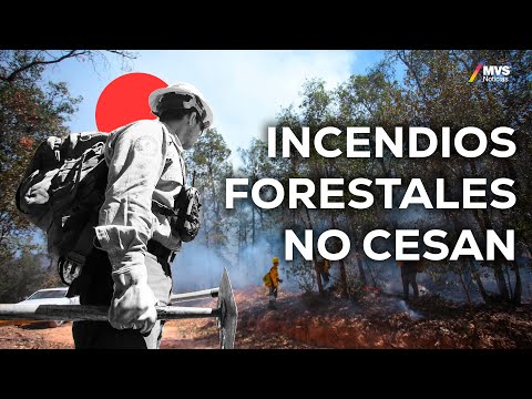 INCENDIOS FORESTALES en México, los MÁS ALTOS en años, ¿POR QUÉ?