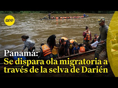 Panamá: Se dispara ola migratoria a través de la selva de Darién | Mundo