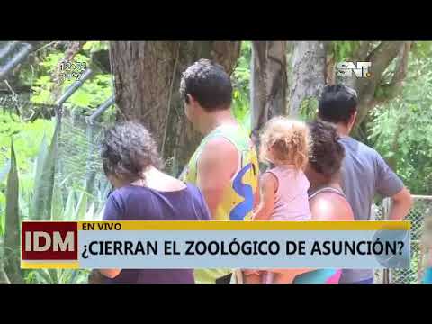 Se instala el debate tras propuesta del cierre del Zoológico de Asunción