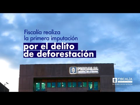 Fiscalía realiza la primera imputación por el delito de deforestación