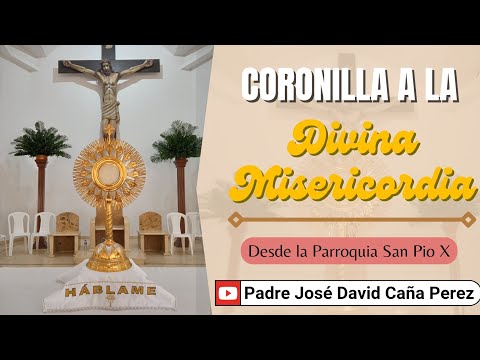 CORONILLA A LA DIVINA MISERICORDIA | DOMINGO 29 DE SEPTIEMBRE 2024