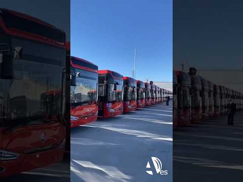 Así son los nuevos autobuses eléctricos para mejorar las conexiones de la periferia de Zaragoza