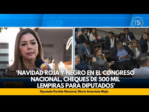 Mejía: 'Navidad roja y negro en el Congreso Nacional, cheques de 500 mil lempiras para diputados'
