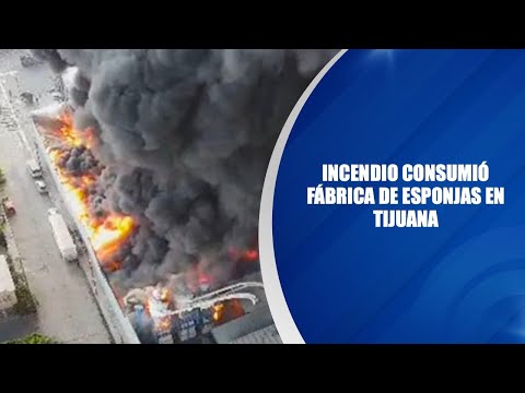 Incendio consumió fábrica de esponjas en Tijuana