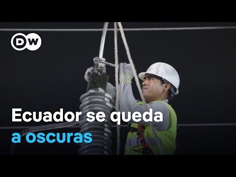 Los apagones causan daños económicos y operativos a los negocios