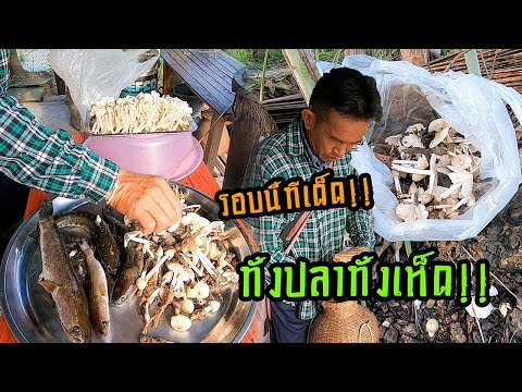 รอบนี้ไม่ธรรมดา!!-ทั้งปลาทั้งเ รอบนี้ไม่ธรรมดา!!-ทั้งปลาทั้งเ