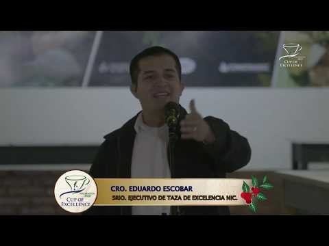 #ENVIVO Inauguración del Certamen Taza de Excelencia Nicaragua 2020