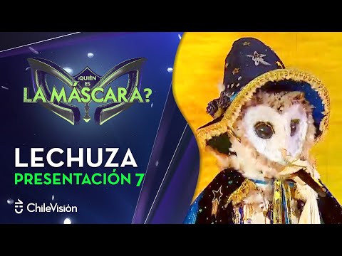 Lechuza cantó Mi Tierra de Gloria Estefan - ¿Quién es la Máscara?