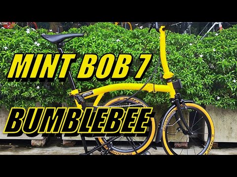 MINTBOB7:BumblebeeExclusiv