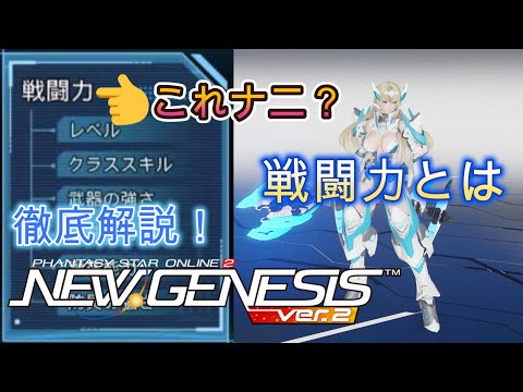 【戦闘力とは？】PSO2NGSの戦闘力アップマニュアル【PSO2NGS】