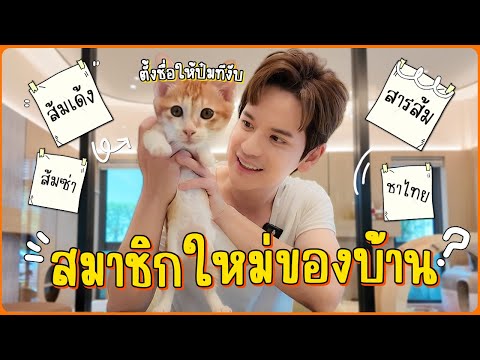 แมวงอกตัวที่8ของบ้าน...|ติ