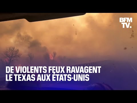Le Texas est ravagé par des feux violents, 100.000 hectares sont déjà partis en fumée