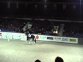 حصان الفروسية Fijn talentvol jong dressuurpaard