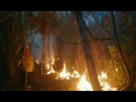Incendio forestal amenaza a santuario de animales en Guarayos