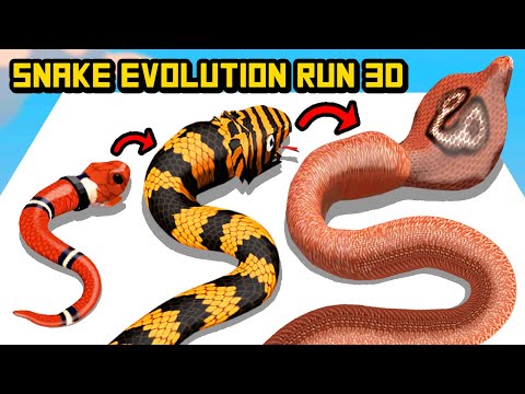 SnakeEvolutionRun3D-เจ้าง