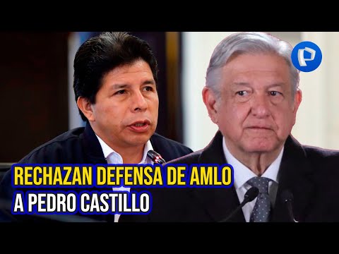 Mariana Gómez del Campo: En México hemos cuestionado la actitud de AMLO para defender a Castillo