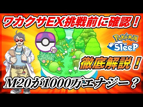 【必見】挑む価値しかない!? ワカクサ本島EXの全貌と攻略ポイント徹底解説【ポケモンスリープ】