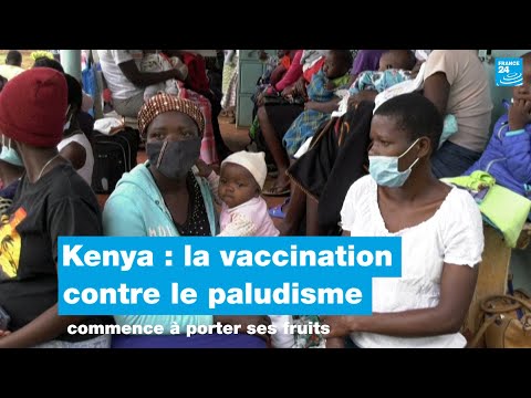 Au Kenya, la vaccination contre le paludisme commence à porter ses fruits • FRANCE 24