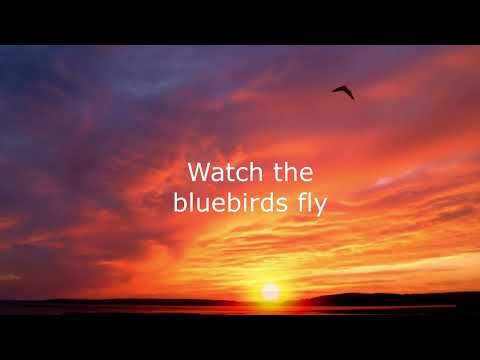 The Parachute Testers Concert Tickets - 2026 Tour Dates