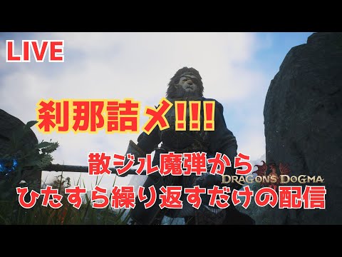 ドラゴンズドグマ2