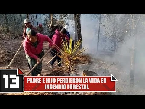 Padre e hijo perdieron la vida en incendio forestal