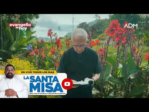 Evangelio de hoy Martes 24 de Septiembre Padre Efrai?n Arquidio?cesis de Manizales