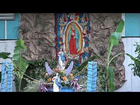 Familia de las Jagüitas celebra por más de 40 años a la virgen de Guadalupe