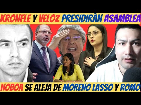 HENRY KRONFLE y Viviana Veloz al frente en A.N. | Lasso - Romo - Pachakutik los perdedores en A.N