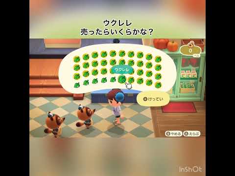 【あつ森】ウクレレ大量に売ったらいくらかな? #vlog #あつ森 #あつまれどうぶつの森 #こはくちゃんねる2424 #毎日更新中