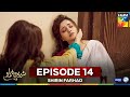 Shirin Farhad - Episode 14 - 15 Jun 25 [ Farhan Saeed & Kinza Hashmi ] Master Paints, PEL - Hum Tv