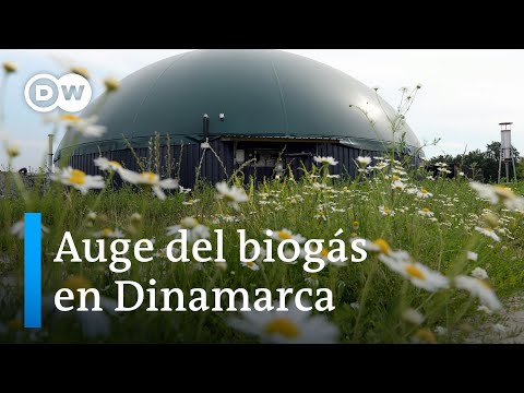 El biogás danés pronto podría ser una alternativa al gas ruso