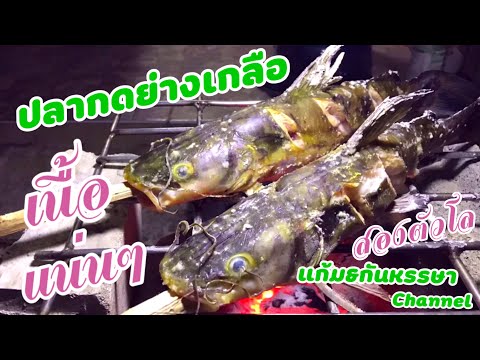 ปลากดย่างเกลือ-เนื้อแน่นๆ ปลากดย่างเกลือ-เนื้อแน่นๆ