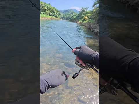 fishingตกปลาbassfishing