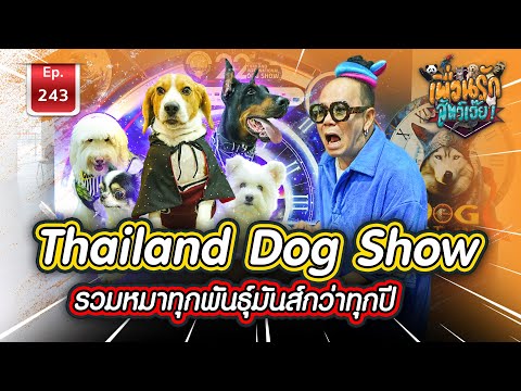 ThailandDogShowรวมหมามันส์ก