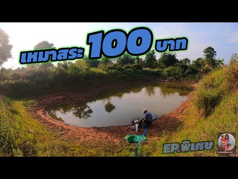 เหมาสระ-100-บาท-เห็นน้ำนิ่งๆ-แ เหมาสระ-100-บาท-เห็นน้ำนิ่งๆ-แ